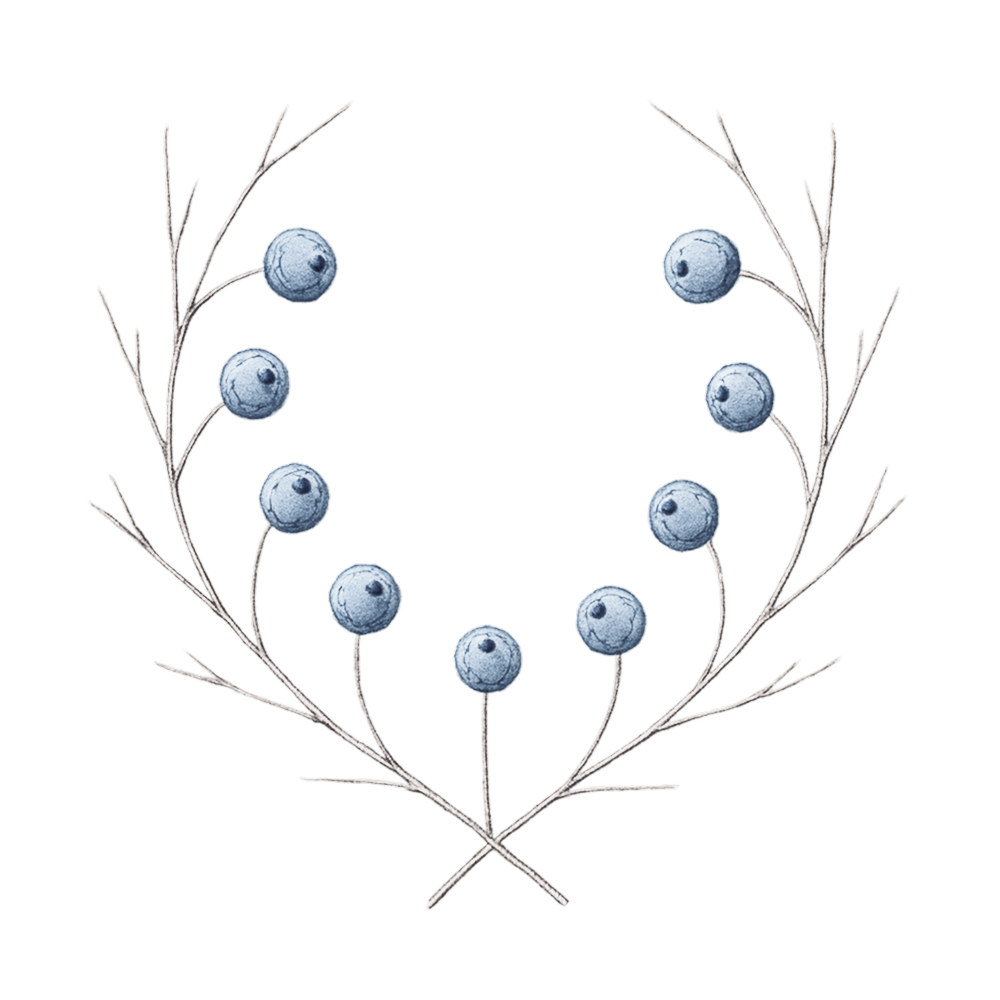 Projekt Blueberry Atelier Floral